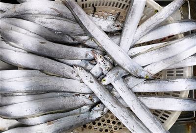 dsadsdadsadsad ukax mä juk’a pachanakanwa.